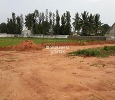 Purva Palm Greens Featured Image