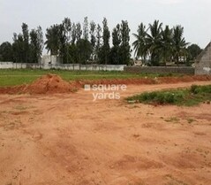 Purva Palm Greens