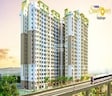 Purva Sunflower