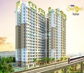 Purva Sunflower