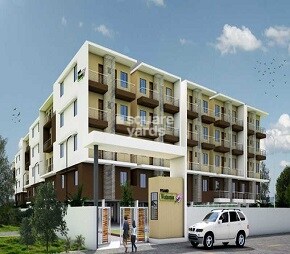 Pyramid Watsonia Video