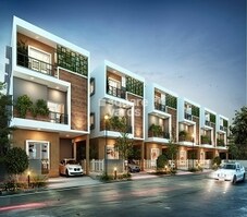 Radiance Blossom Featured Image