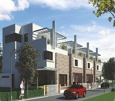 Radiant Silver Oak Featured Image