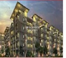 Raja Gold Field Featured Image