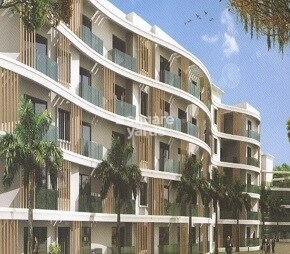 Raja Tropicana Featured Image