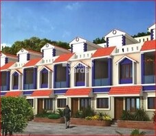 Rajni Aashish Rose Featured Image