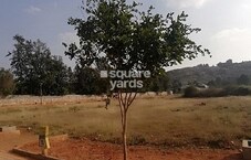 Ramanashree lake Gardens Featured Image