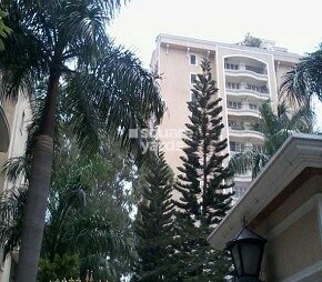 Regency Heights Frazer Town