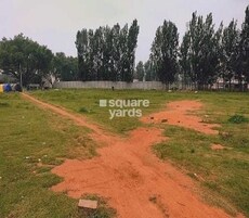 Reilly Springfields Featured Image