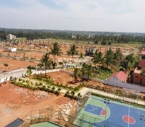 Reliaable Dollar Collony Phase 1B