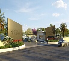 Renaissance Marigold Meadows Featured Image