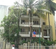 Renaissance Palasha Featured Image