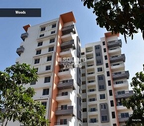 Renaissance Woods Phase I Featured Image