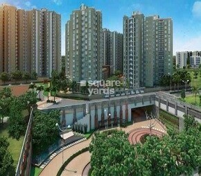 Republic Of Whitefield