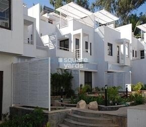 Rohan Ashima Featured Image