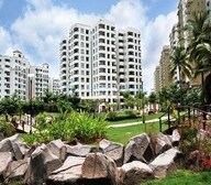 tn rohan vasantha project flagship1