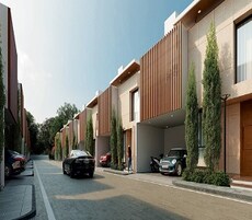 Roja Soul Garden Featured Image