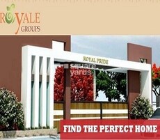 Royal Pride Featured Image