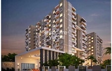 Ruchira Projects Iris Featured Image