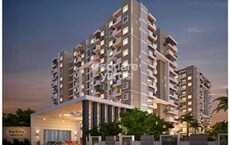 Ruchira Projects Iris Featured Image