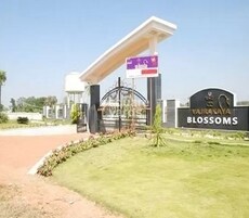 S And S Vajrakaya Blossoms Featured Image