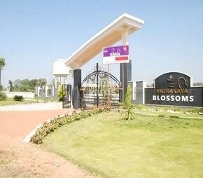 S And S Vajrakaya Blossoms, Rajanukunte, Bangalore