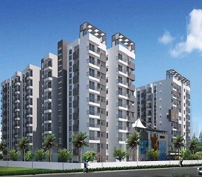 tn s v signature flagship1