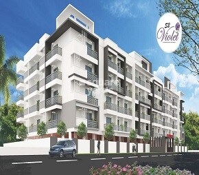 S2 Violet Featured Image