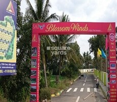 Sai Blossom Winds Featured Image