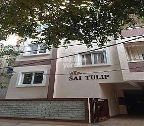 Sai Tulip Cover Image
