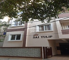 Sai Tulip