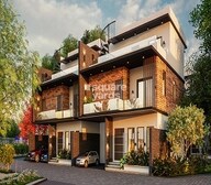 Saiven Mulberry Groves Video