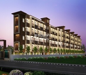 Saiven Silver Oaks