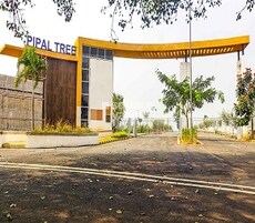 Salarpuria Pipal Tree Featured Image