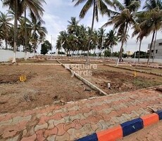 Sameera Hill View Featured Image