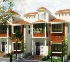 Samruddhi Lemon Tree