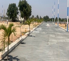 Samudrikaa Signature