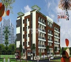 Sanjeevini Pebbles Featured Image