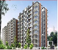 Saran Mulberry Woods