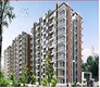 Saran Mulberry Woods Flagship Image