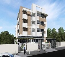 Saroj Daffodils Featured Image