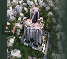 SB Temple Tree Featured Image