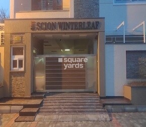 Scion Winter Leaf