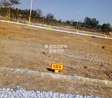 Shinemax RNY Enclave Featured Image