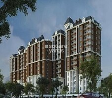 Shriline Primrose Featured Image