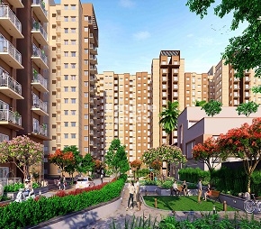 Shriram WYT Field Phase 2