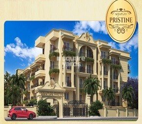 Signature Pristine