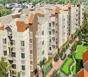 Sipani Jardin