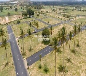 Sitrus Nandi View