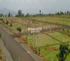 Sivachaitanya Saikam Aananda Featured Image